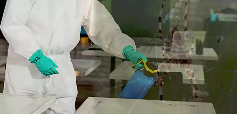 Why Buyers Still Want Homes With Pest Infestations in Buffalo, NY?