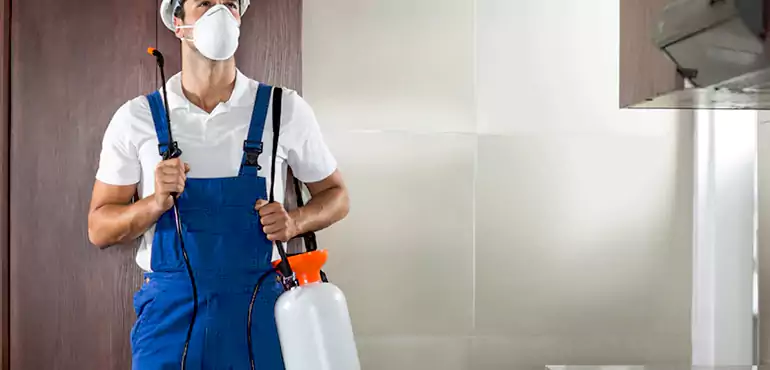 Why Buffalo Homeowners Choose Us When Pests Make Selling Difficult