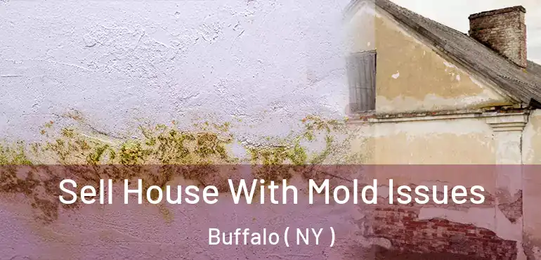  Sell House With Mold Issues Buffalo ( NY )